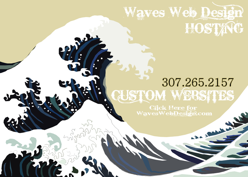 Waves Web Design Biz is the Hosting Service Domain brought to you by Waves Web Design a custom website design company